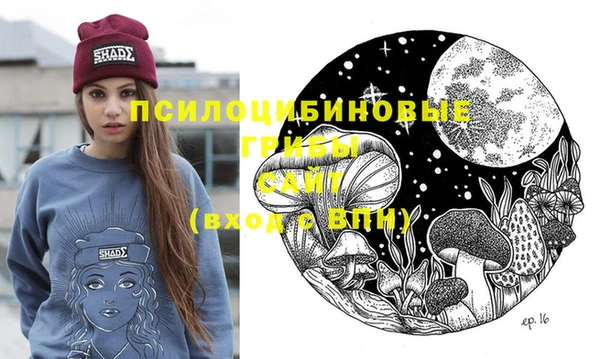 хмурый Аркадак