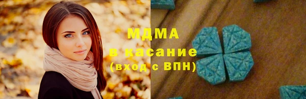 хмурый Аркадак