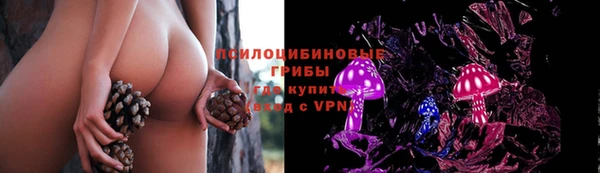 каннабис Арсеньев