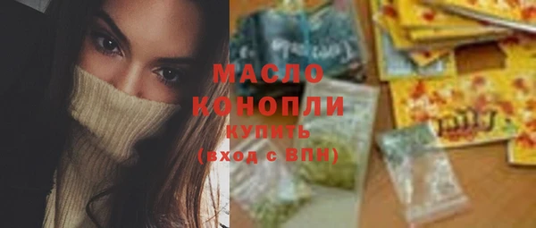 хмурый Аркадак