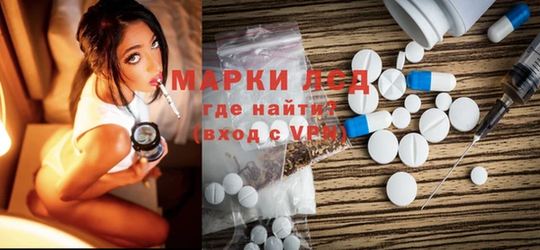 хмурый Аркадак