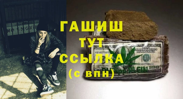 хмурый Аркадак