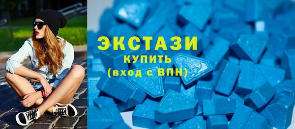 хмурый Аркадак